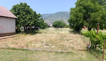 vr7.jpg